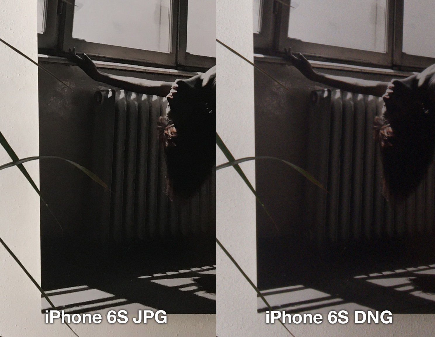 iphone-6s-lightroom-jpg-vs-dng-1