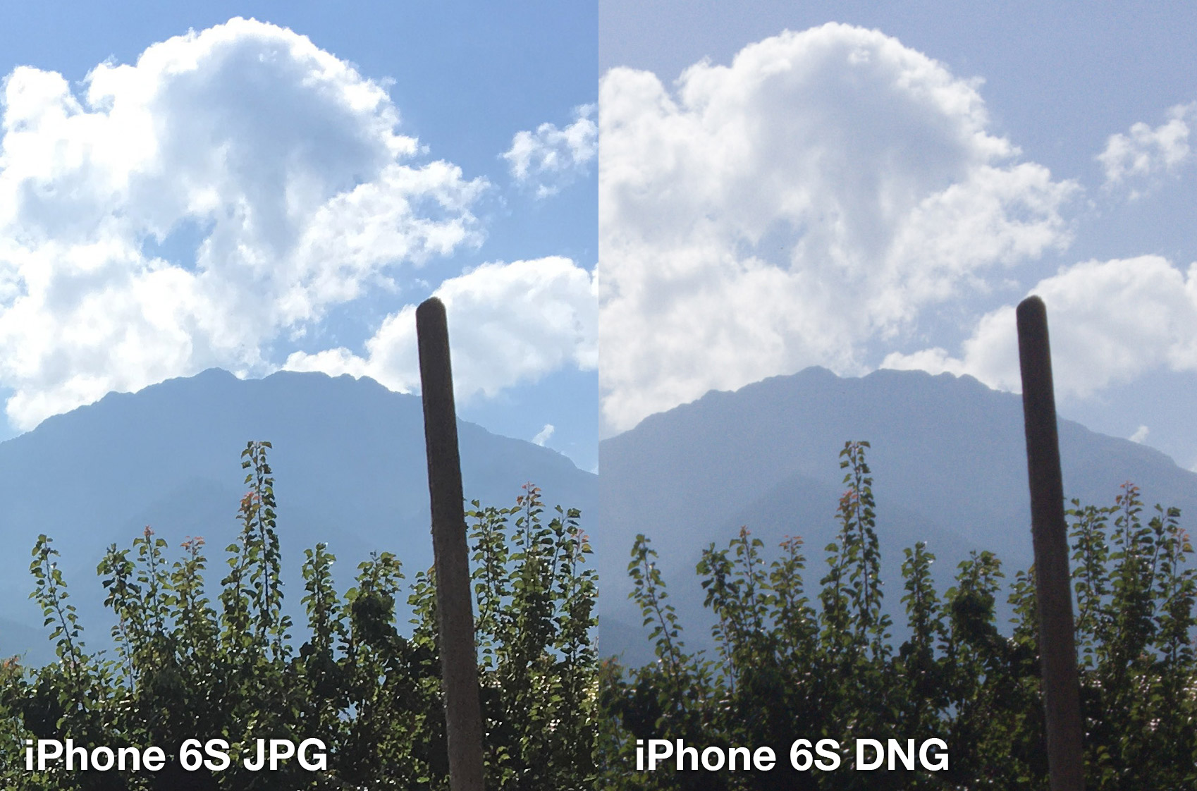 iphone-6s-lightroom-jpg-vs-dng-5